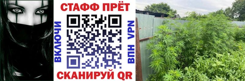 Продажа наркотиков Торопец МАРИХУАНА Галлюциногенные грибы Cocaine Амфетамин ГАШ Меф