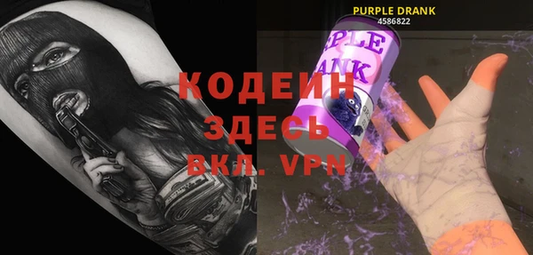 гашик Мегион