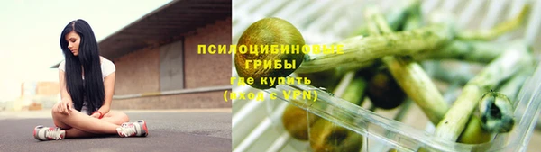 гашик Мегион