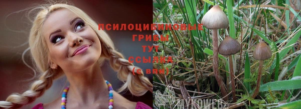 трава Медногорск
