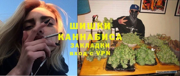 гашик Мегион