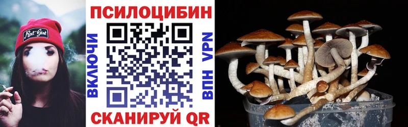 omg зеркало  Торопец  Галлюциногенные грибы MAGIC MUSHROOMS  купить наркотики цена 