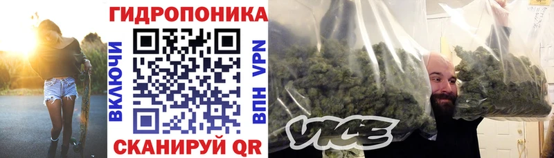 hydra ТОР  Торопец  Бошки марихуана Bruce Banner 